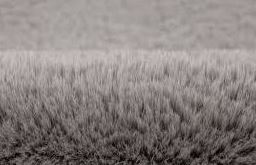 Bolero BOL 500 silver szőnyeg | LALEE "ki"